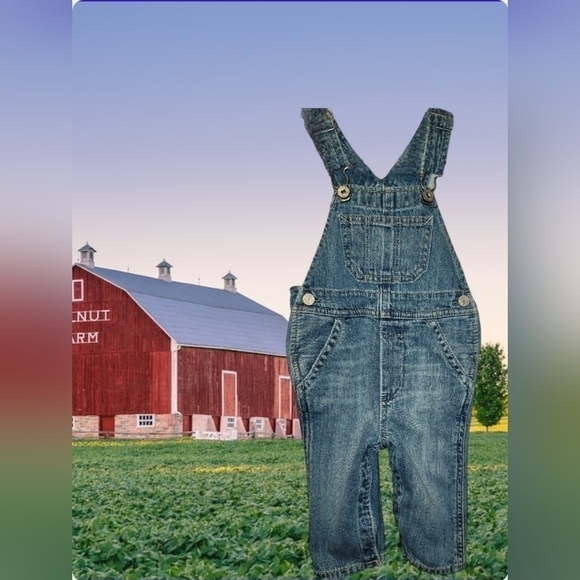 Baby Gap Denim Overalls - Picture 1 of 8